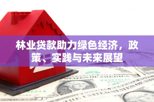 施甸林业贷款助力绿色经济，政策、实践与未来展望