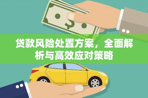 施甸贷款风险处置方案，全面解析与高效应对策略