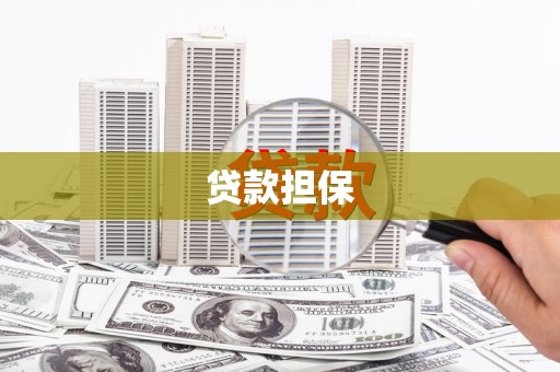 施甸贷款担保