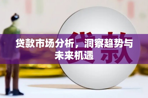 施甸贷款市场分析，洞察趋势与未来机遇