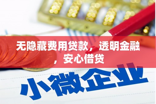 施甸无隐藏费用贷款，透明金融，安心借贷