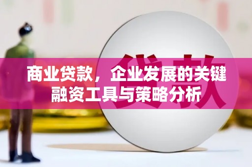 施甸商业贷款，企业发展的关键融资工具与策略分析