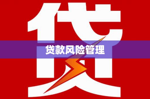 施甸贷款风险管理
