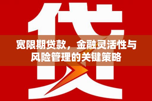 施甸宽限期贷款，金融灵活性与风险管理的关键策略