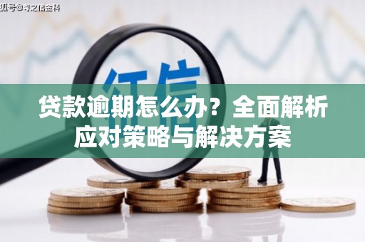 施甸贷款逾期怎么办？全面解析应对策略与解决方案