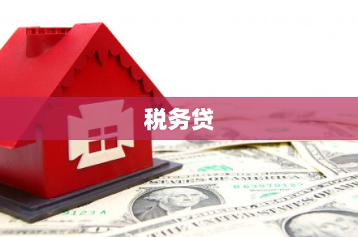 施甸税务贷
