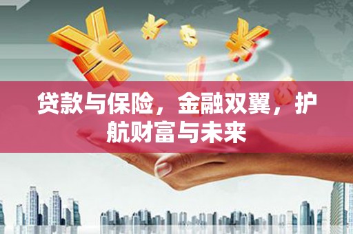 施甸贷款与保险，金融双翼，护航财富与未来