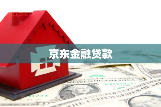 施甸京东金融贷款