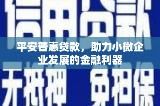 施甸平安普惠贷款，助力小微企业发展的金融利器