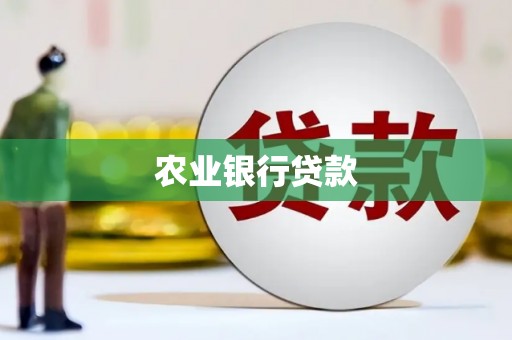 施甸农业银行贷款