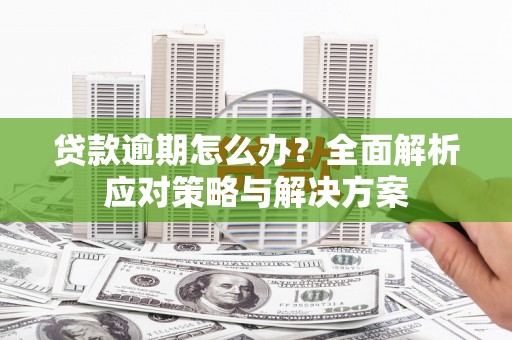 施甸贷款逾期怎么办？全面解析应对策略与解决方案
