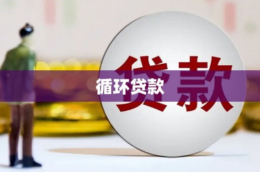施甸循环贷款
