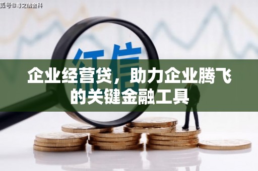 施甸企业经营贷，助力企业腾飞的关键金融工具