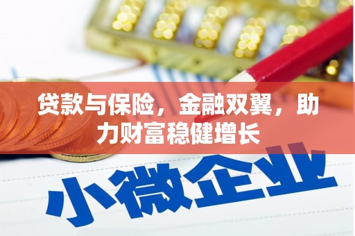 施甸贷款与保险，金融双翼，助力财富稳健增长