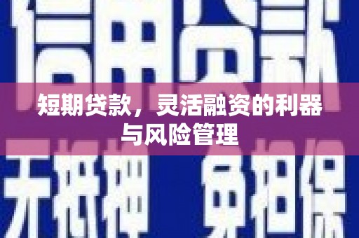 施甸短期贷款，灵活融资的利器与风险管理