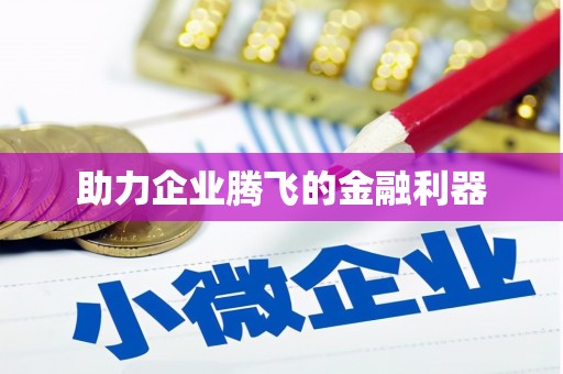 施甸助力企业腾飞的金融利器
