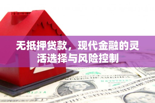 施甸无抵押贷款，现代金融的灵活选择与风险控制