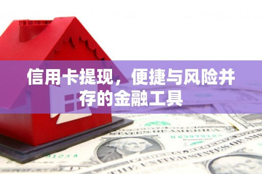 施甸信用卡提现，便捷与风险并存的金融工具