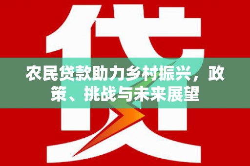 施甸农民贷款助力乡村振兴，政策、挑战与未来展望