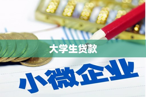施甸大学生贷款