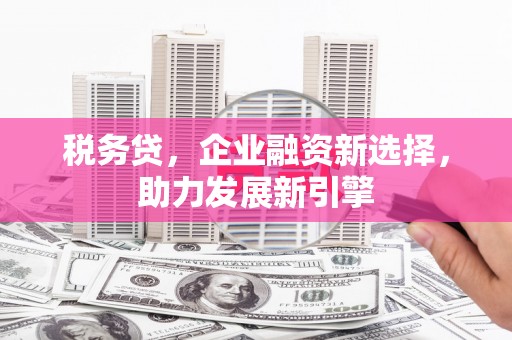 施甸税务贷，企业融资新选择，助力发展新引擎