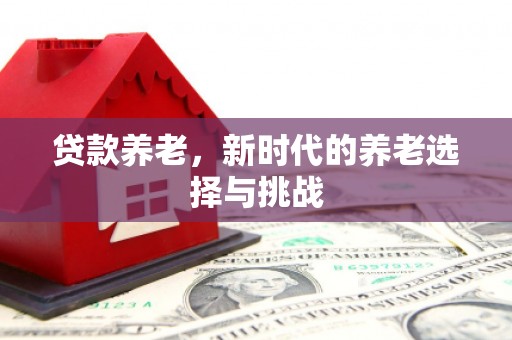 施甸贷款养老，新时代的养老选择与挑战