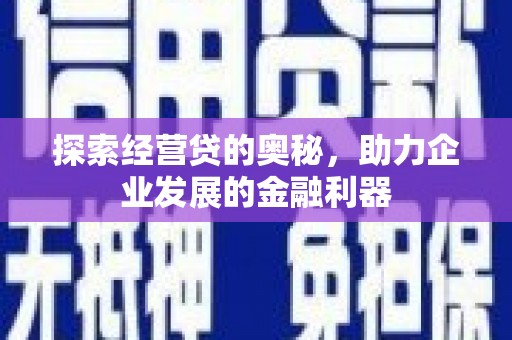 施甸探索经营贷的奥秘，助力企业发展的金融利器