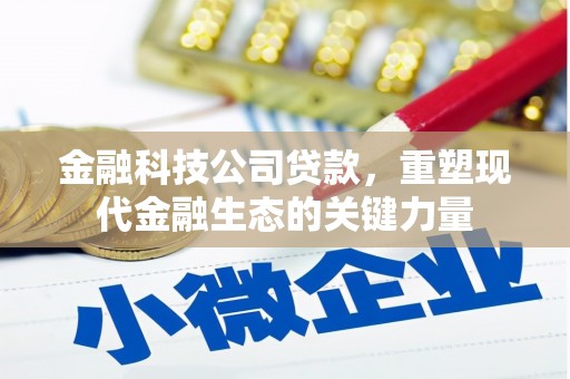 施甸金融科技公司贷款，重塑现代金融生态的关键力量