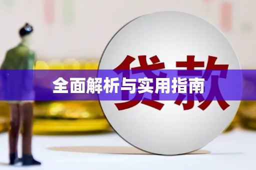 施甸全面解析与实用指南