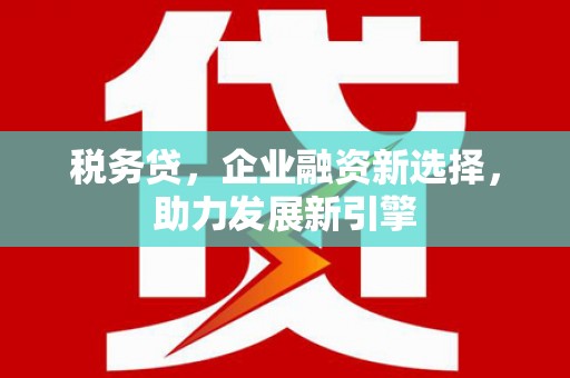 施甸税务贷，企业融资新选择，助力发展新引擎