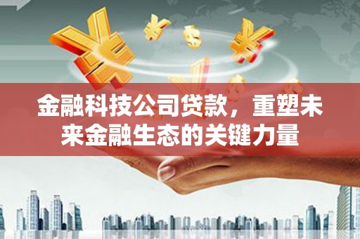 施甸金融科技公司贷款，重塑未来金融生态的关键力量