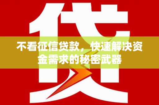 施甸不看征信贷款，快速解决资金需求的秘密武器