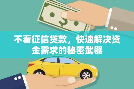 施甸不看征信贷款，快速解决资金需求的秘密武器