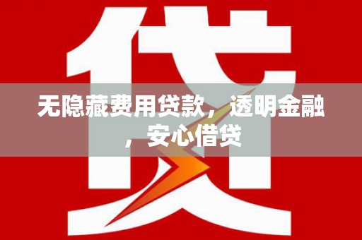 施甸无隐藏费用贷款，透明金融，安心借贷