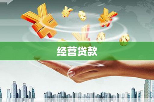 施甸经营贷款