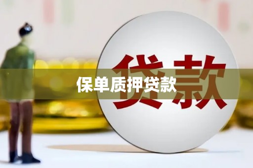 施甸保单质押贷款