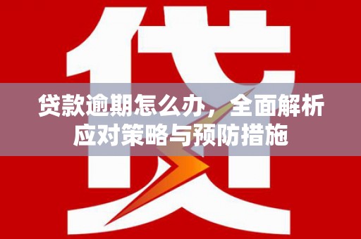 施甸贷款逾期怎么办，全面解析应对策略与预防措施