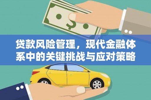 施甸贷款风险管理，现代金融体系中的关键挑战与应对策略