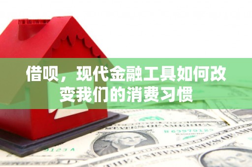 施甸借呗，现代金融工具如何改变我们的消费习惯