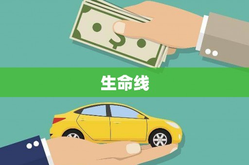 施甸生命线