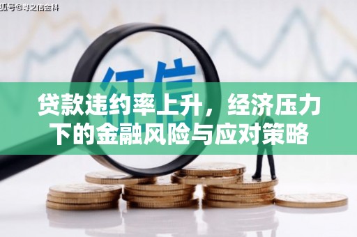 施甸贷款违约率上升，经济压力下的金融风险与应对策略