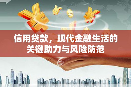 施甸信用贷款，现代金融生活的关键助力与风险防范
