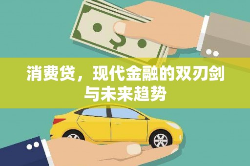 施甸消费贷，现代金融的双刃剑与未来趋势