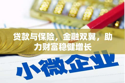 施甸贷款与保险，金融双翼，助力财富稳健增长