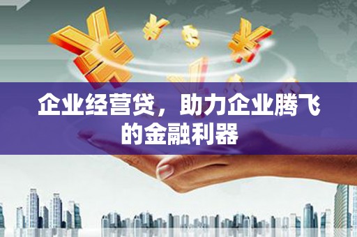施甸企业经营贷，助力企业腾飞的金融利器