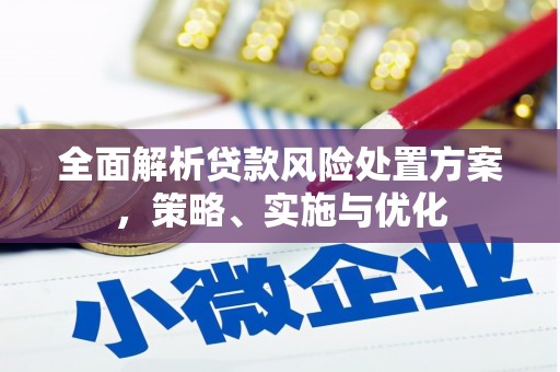 施甸全面解析贷款风险处置方案，策略、实施与优化