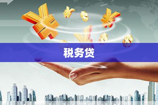 施甸税务贷