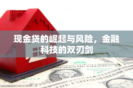 施甸现金贷的崛起与风险，金融科技的双刃剑