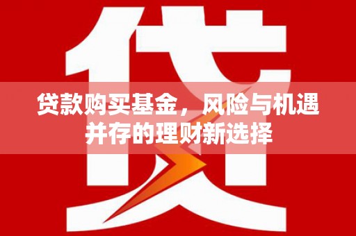 施甸贷款购买基金，风险与机遇并存的理财新选择