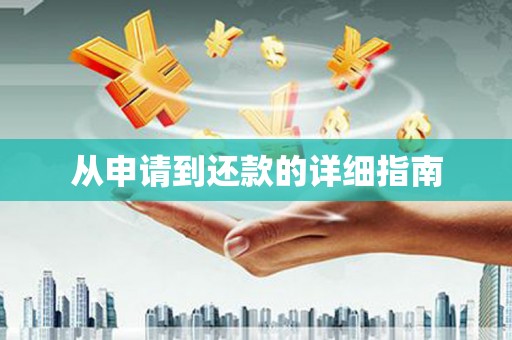 施甸从申请到还款的详细指南